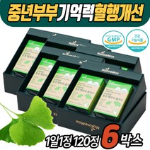 손끝 발끝 혈행개선영양제 식약처인증 징코 GINKO 은행잎추출물 기억력 뇌에좋은영양제 플라보놀배당체 실버 노인 어르신 할머니 할아버지 60대 70대 80대 남자 여자 남성 여성