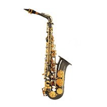 니하오구매대행 6개월AS 셀마 셀머 selmer 알토 색소폰 연습용 연주용 초보용 입문자 실버 골드 다크골드 블랙골드 4종, A.블랙골드
