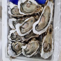 통영직송 제철 굴 하프셀 반각굴 30미 내외, 하프셀(반각굴) 30미내외