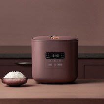 저당밥솥 저탄고지 당뇨 저탄수 미니 캠핑 밥솥 식단 미니 스마트 가정 요리 소형 건강 정품 명, 부르고뉴