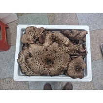 국내산 능이버섯 (자연산 특급생능이 절편 냉동 ) 선물용 1등급 1kg, 1, 1개
