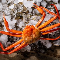 대한민국농수산 수율보장 연지홍게 2kg (6~10미 내외), 자숙 연지홍게 2kg 6~10미 내외, 1개