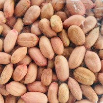 생알땅콩 볶음알땅콩 500g 국산, 생알땅콩500g, 1개
