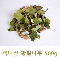 국내산 황칠나무 차 건조 찻 잎 500g 부모님 가족 건강, 1봉