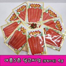 여름5촌당근 당근씨앗 종자4g 1개 /동원씨앗/주말농장