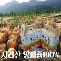 물 한방울 안넣은 지리산 함양 양파즙100%, 1+1 50팩 2박스, 2개