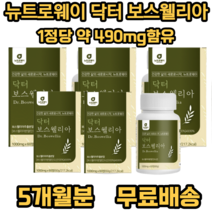 뉴트로웨이 닥터 보스웰리아 1000 식 약 처 인증 인도산 결정 셀룰로오스 우슬추출 분말 초록입홍합 분말 히알루론산 혼합분말 엽산 산화아연 비타민 부모님 가족 노인 필수 섭취 추천, 60정, 5개