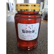 청정제주 봉개꿀 자연숙성꿀 2.4kg 1개, 탐라는꿀