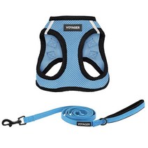 Best Pet Supplies 스텝인 에어 강아지 하네스 - 사계절 메시 소형 및 중형견 레드 베이스 S, Harness Leash Bundle (Baby Blu