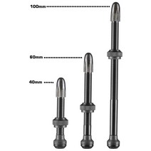 [정품] Schwalbe 슈발베 튜브리스벤타일, SV 40mm