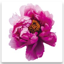 모란꽃 33종 돈들어오는 그림 한국화 캔버스액자 인테리어액자 거실액자 침실액자, 모란꽃22