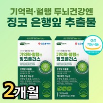 식약청 인정 은행잎 추출물 고함량 징코 혈액 순환 혈행 기억력 개선 브레인 두뇌 영양제 손가락 손끝 발가락 팔다리 저림 에좋은 부모님 노인 시니어 수험생 집중력 혈관, 30정 x 2박스 2개월분, 2개, 30정
