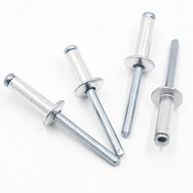 M2.4 M3.2 M4 M5 M6 알루미늄 Mushroon 헤드 브레이크 맨드릴 블라인드 리벳 네일 팝 가구 자동차 항공기 G, 16mm, M6 10pcs