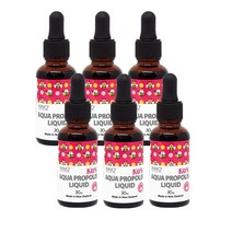 이노헬스 키즈 아쿠아 프로폴리스 리퀴드 30ml 6팩 INNO HEALTH KID`S AQUA PROPOLIS LIQUID