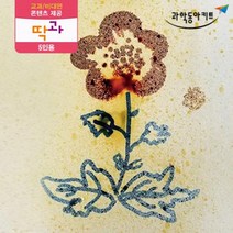화학결합 현상 화학그림 그리기 키트 5인 과학실험교구 과학학습교재 초등과학실험 실험완구 과학 교육완구