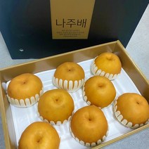 산지직송 맛있는 나주배 신고배 특품 가정용 과일 선물세트 5kg 7.5kg, 프리미엄 특품 15kg (26-28과)