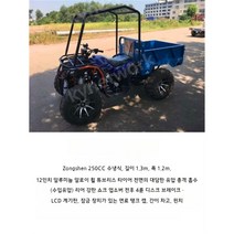 전기사륜오토바이 ATV 350CC 화물상자 전지형, 패키지 3