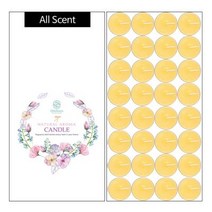 올레비엔 티라이트 향초 레몬 32개입, 단품