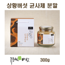 상황버섯 균사체 분말 가루 상황버섯차 목질진흙버섯 베타글루칸 뽕나무 국산 상황버섯물 효능 먹는방법 면역력, 300g, 1병