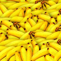 델몬트 바나나4.2kg 6kg 13kg, 델몬트 바나나13kg, 1개