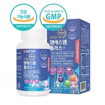 msm 엠에스 플러스 비타민D 아연 동결건조 녹색입 홍합 분말 추천 120정 2개