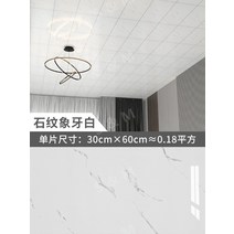 천장마감재 화장실천장재 욕실천장재 리빙우드 천장재 렉스판, 특대, C