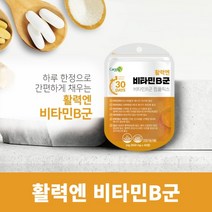 업무 학업 과로 스트레스 불규칙한 생활 에너지 체력 무기력감 무력감 힘들때 지칠때 회복 관리 에 좋은 먹는 생활 활력 수용성 비타민 B군, 1BOX(1개월분)
