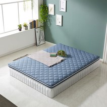 라온홈데코 조아조아 단단한 2인용 견면 슬림 딱딱한 허리디스크 매트리스 얇은 바닥 가벼운 매트릭스