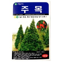 주목나무씨앗 100알 나무 씨앗