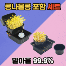 어린이 콩나물 키우기 세트 콩 포함 가정용 미니 애완 콩나물재배기 대용량 콩나물시루 기르기 키트, 콩나물 재배하기(저학년) 1개
