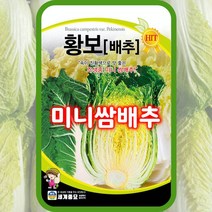 쌈배추씨앗 황보 미니배추 종자 300립 조생종 채소씨 쌈채소씨앗, 1개