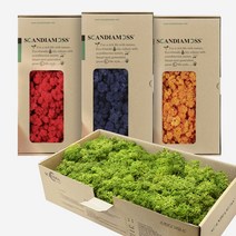 스칸디아모스 500g 천연 이끼 공기정화 이끼식물 DIY 세트, 블랙_자연 20g, 1개