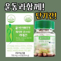 2주다이어트 보조제 카테킨 42정 14일분 1개