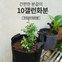 부직포 화분 그로우백 블루베리 특이한 베란다 텃밭 가정용 고구마 키우기 화초 10갤런, 상품선택, 2화분10갤런-그레이