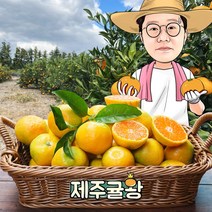 귤왕 제주 농장 직배송 제철 과일 귤 노지 감귤 5kg 10kg, 08.노지감귤 중과 (M~L) 10kg