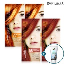 과일나라 진주펄 염색약 스페셜 4개세트+폼클렌징 120ml, 블루블랙22호 2개 밝은황갈색6호