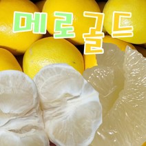 메로골드 미국산 못난이 대과 청자몽, 3.5kg 내외 (8개)