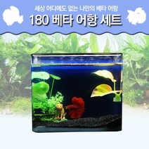 피알피쉬 180 베타 어항 세트, 황금사