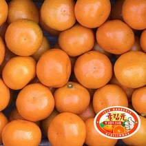 제주 불로초 감귤 귤림원 감귤 1.5kg 3kg 4.5kg 프리미엄 로얄과, 귤림원 감귤(11Brix이상), 귤림원 감귤(4.5kg) 2S-M