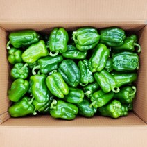 청피망 500g