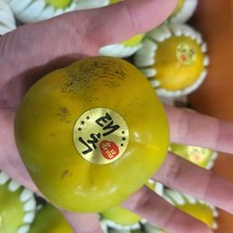 태추단감 배단감 달고 아삭한 감, 3kg, 1개