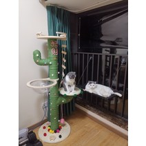 우주 캡슐 고양이 등반 프레임 선인장 그물 레드 사이 잘삼 단단한 나무 DIY 재료 고양이 점프 플랫폼 고양이 스크래치 보드 고양이 등반 칼럼 장난감, 6  스페이스 캅셀 선인장 140cm 완성품