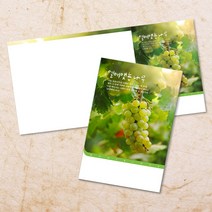 교회주보 예배 주보용지 3단6면 주보지 안내지 전도지 절기 부활절 추수감사 맥추감사 성탄절 신년감사 디자인 기독교용품, EW-15