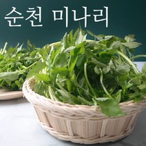 [당일수확]순천 싱싱 미나리 1kg(실중량), 단품