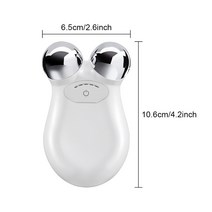 페이스 리프팅 마사지 EMS 페이스 마사지 jawline Electric Roller 페이셜 마사지 슬리밍 뷰티 스킨 케어, 01 WHITE