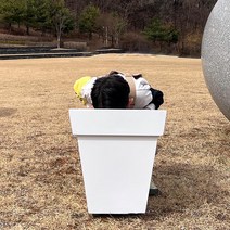 식물학개론 FRP 시멘트 정사각 화분, FRP시멘트정사각화분XL55cm화이트