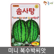 솜사탕 수박씨앗 10립