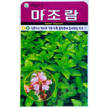 두통에 좋은 마조람 씨앗(2500립)(A0800)