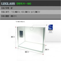 LEGLASS 전면곡 R - 600 60X30X36