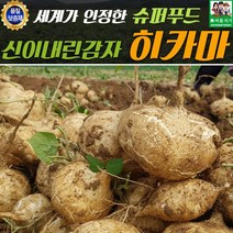 신이내린 감자 생 히카마 5kg, 1개